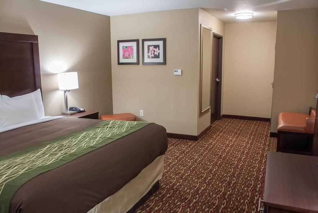Comfort Inn & Suites Artesia Bilik gambar