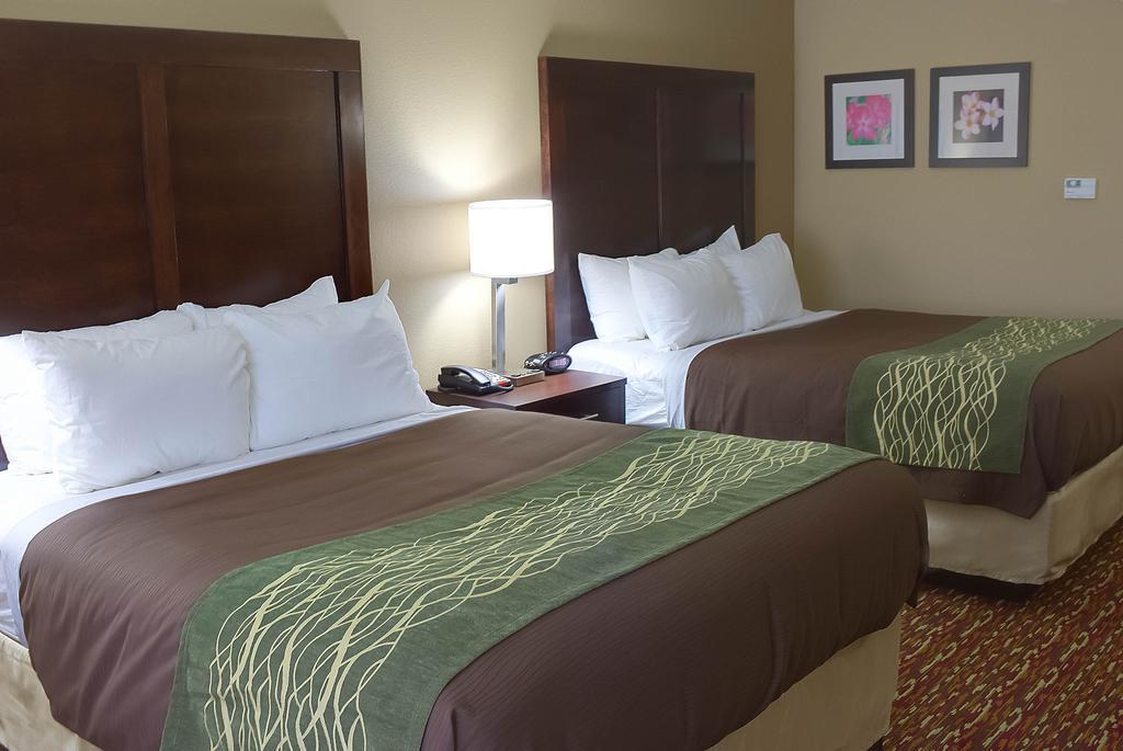 Comfort Inn & Suites Artesia Bilik gambar